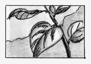 storyboard image 28