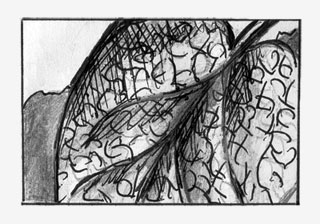 storyboard image 29
